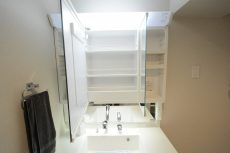 グリュック二子玉川 洗面