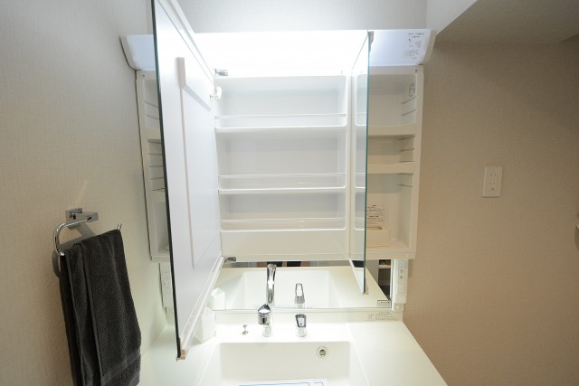 グリュック二子玉川 洗面