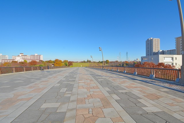 大島小松川公園