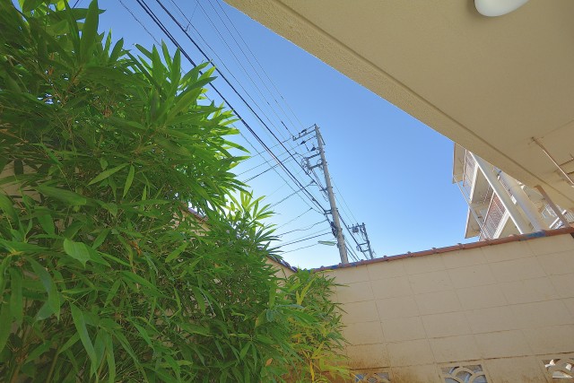 桜丘フラワーマンション 庭