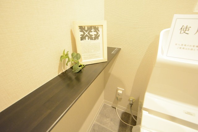 グリュック二子玉川 トイレ