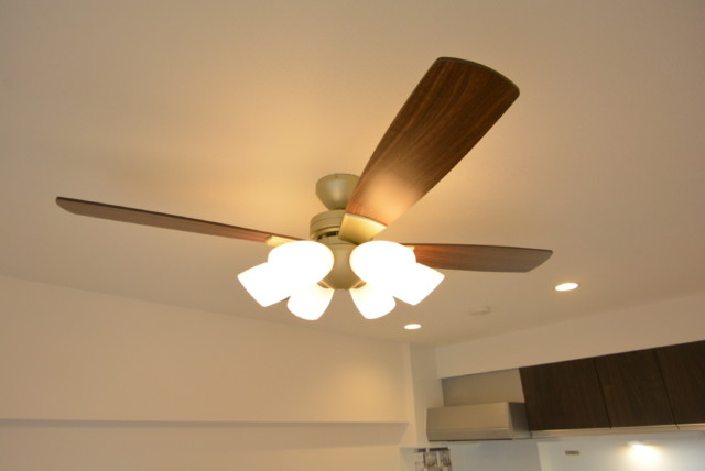 柿の木坂パレス LDK+洋室1