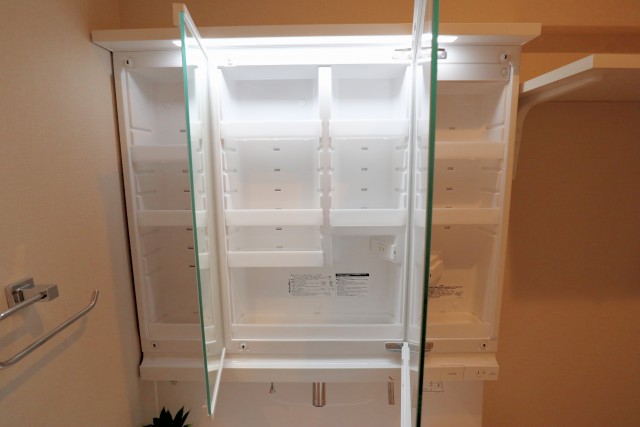 ＮＩＣハイム西蒲田 洗面