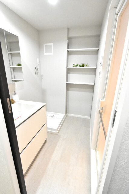 芝マンション 洗面室