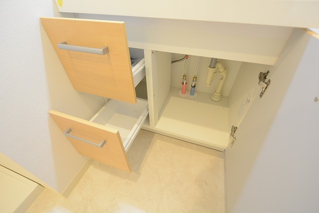 柿の木坂パレス 洗面