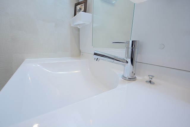 桜丘フラワーマンション 洗面