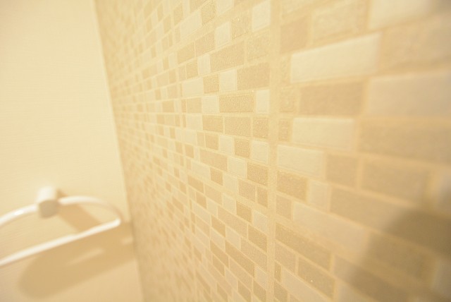 ニューライフ等々力 トイレ