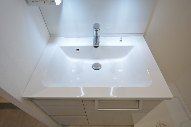 ダイアパレス世田谷公園 洗面室