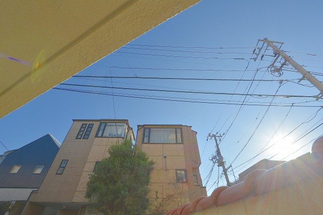 桜丘フラワーマンション 庭