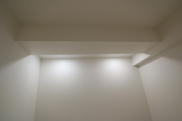 東大井スカイハイツ 洋室２