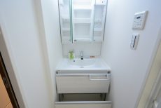 世田谷台ピロティ 205 洗面