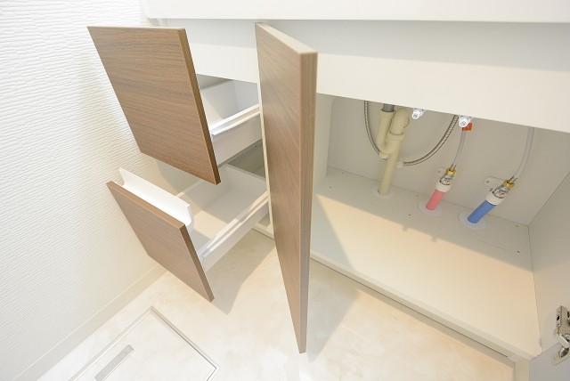 ラインズマンション根岸東 洗面