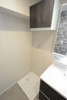 セントヒルズ三軒茶屋 洗面室