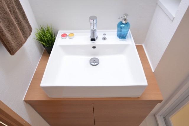 ニューハイム池上 洗面室