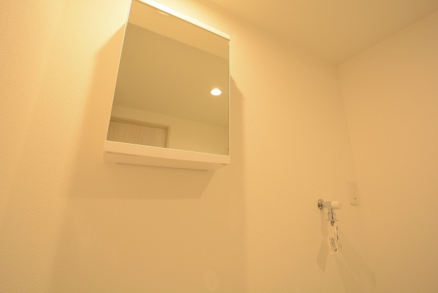 藤和三軒茶屋コープ 洗面