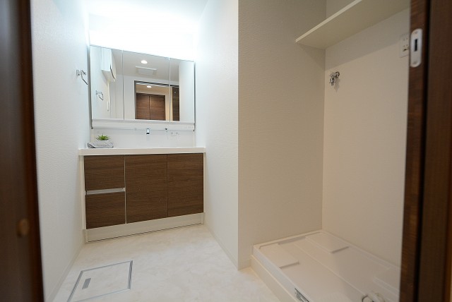 ラインズマンション根岸東 洗面