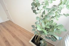 メゾンドゥ白金台 洋室6.3