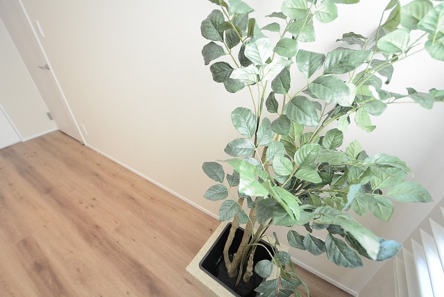 メゾンドゥ白金台 洋室6.3