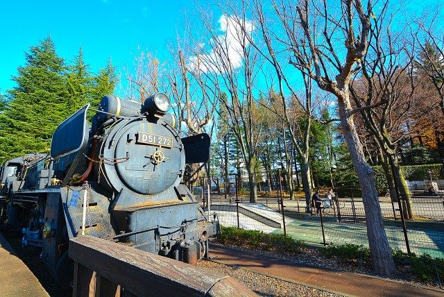 三軒茶屋駅周辺 世田谷公園 三軒茶屋駅周辺 世田谷公園