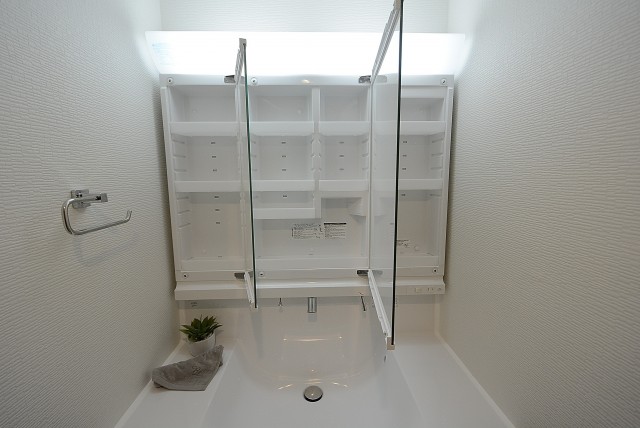 ラインズマンション根岸東 洗面