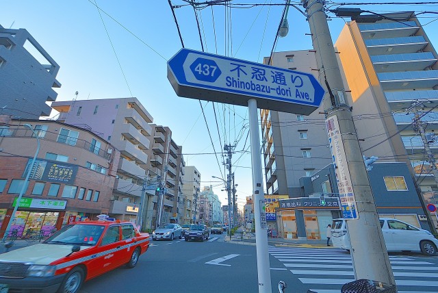 シャンボール文京 千石三丁目信号から