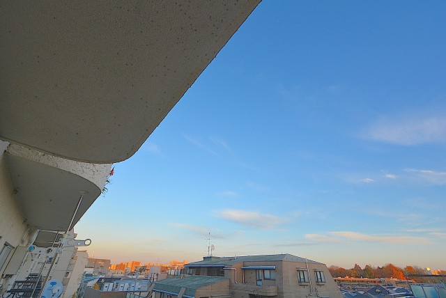 シャンボール文京 