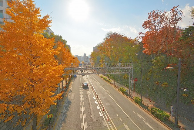 雑司が谷駅周辺 (6)