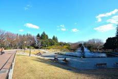 三軒茶屋駅周辺 世田谷公園 三軒茶屋駅周辺 世田谷公園