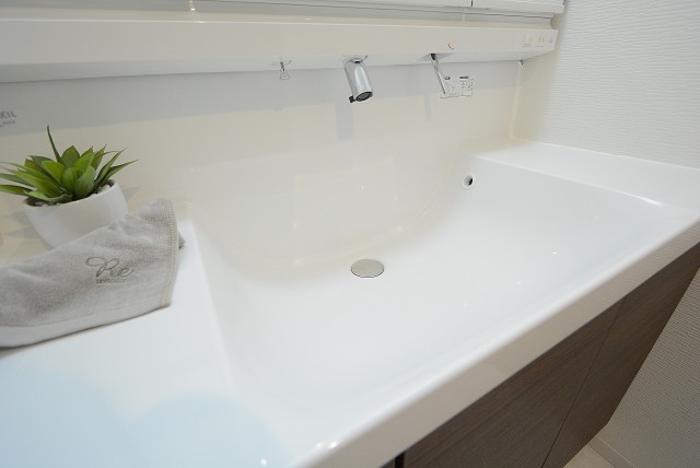 ラインズマンション根岸東 洗面