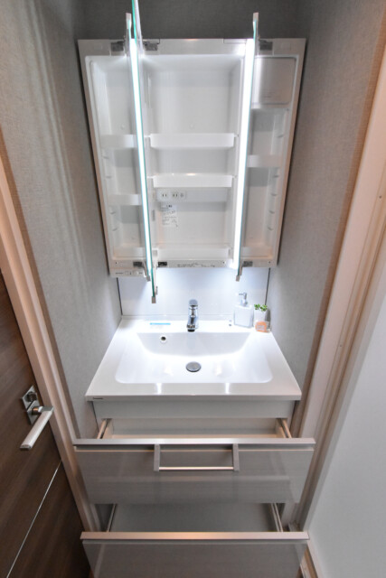 ライオンズマンション目白台シティ 洗面室