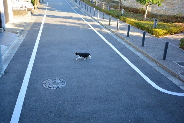 池尻大橋駅周辺 