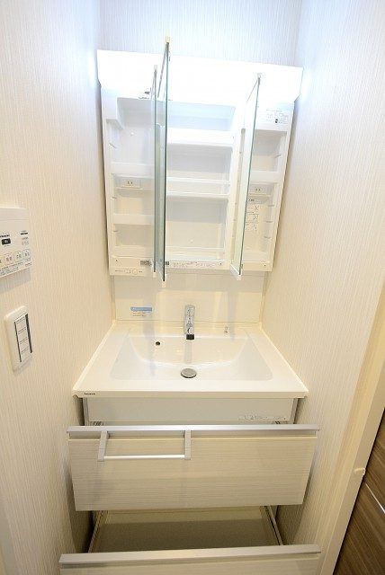 世田谷ピロティ 204洗面