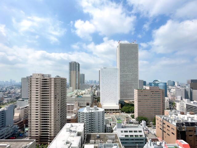 シティタワー池袋 2404 眺望