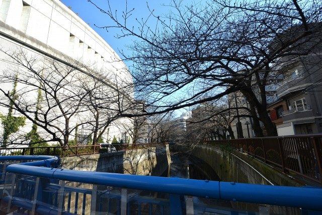 池尻大橋駅周辺 目黒川