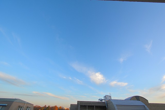 シャンボール文京 