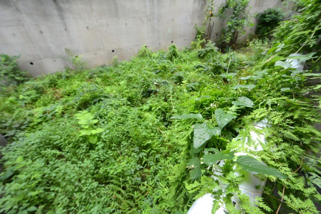 パイロットハウス北新宿 バルコニー