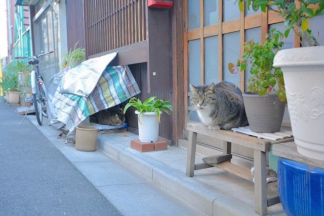 入谷駅周辺