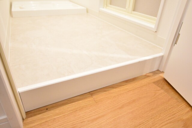 麻布狸穴ナショナルコート (51)脱衣所