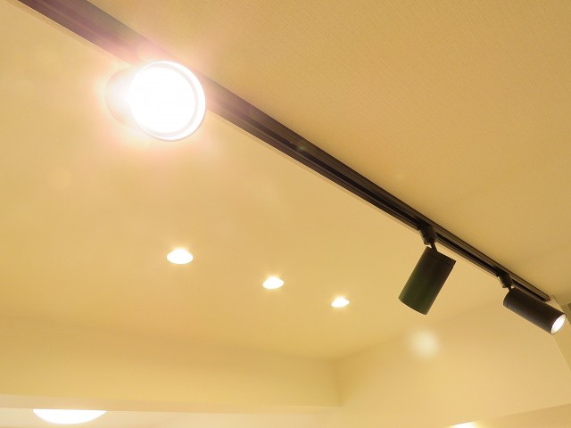 多摩川芙蓉ハイツ　照明