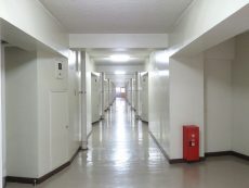 上高田四丁目団地　共用廊下