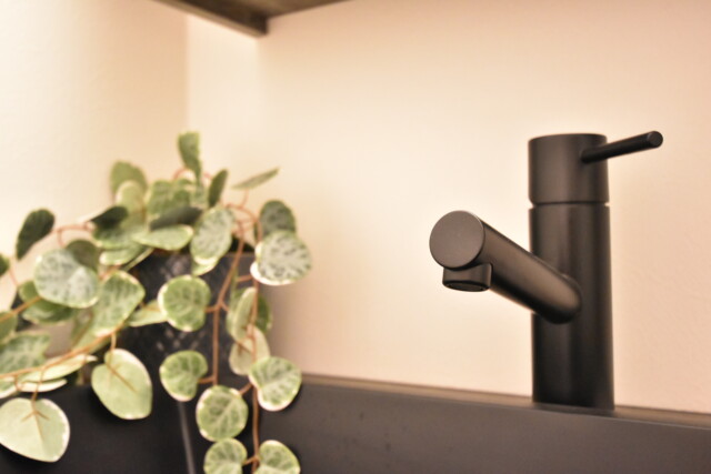 麻布狸穴ナショナルコート 洗面室