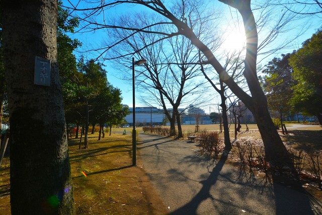 池尻大橋駅周辺 公園