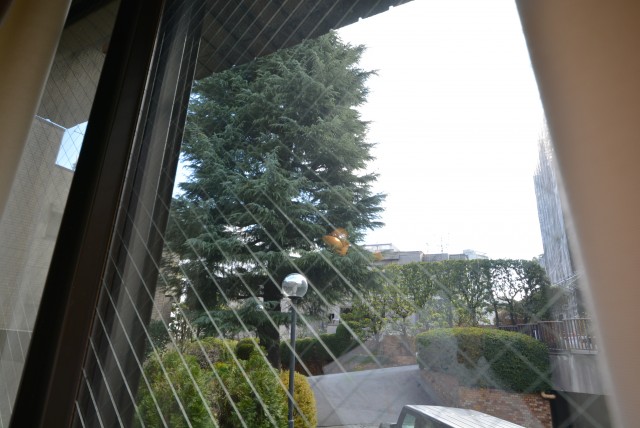 ソフィア高輪 　洋室7.9帖