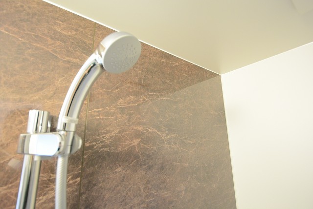 シャンボール文京 