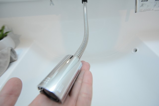 ラインズマンション根岸東 洗面