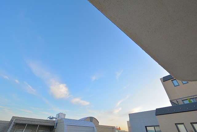 シャンボール文京 