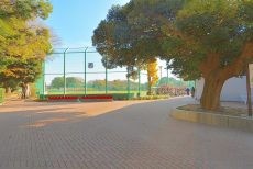 目白台運動公園