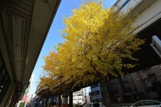 セントヒルズ三軒茶屋 正面