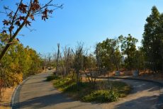 池尻大橋駅周辺 天空庭園