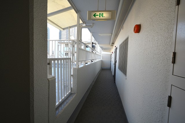 ニューハイツ八丁堀 (16)玄関